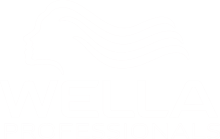 Wella - B2B-Lösungen von Invqia